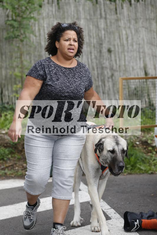 Archiv-2025/53 16.09.2025 Track Day Domi Aegerter ADR/Impressionen